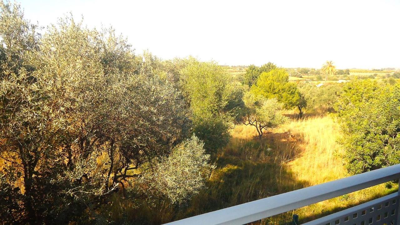 Terravita Residencial Lek Peñíscola Kültér fotó